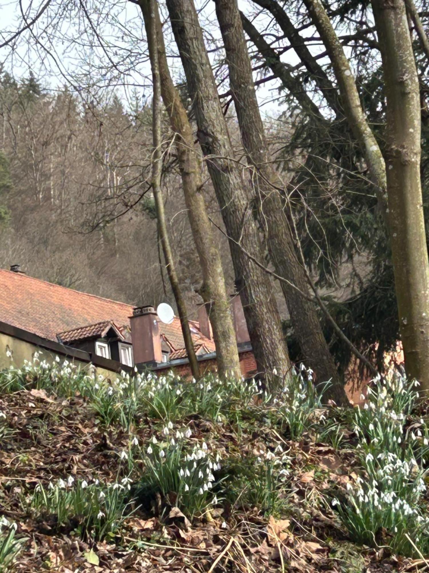 Villa Am Fluss Pforzheim Zewnętrze zdjęcie