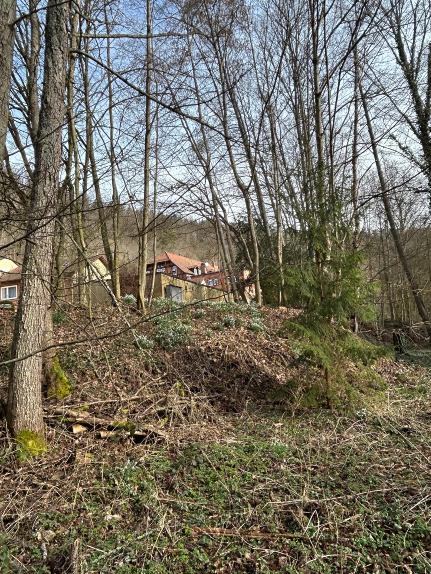 Villa Am Fluss Pforzheim Zewnętrze zdjęcie