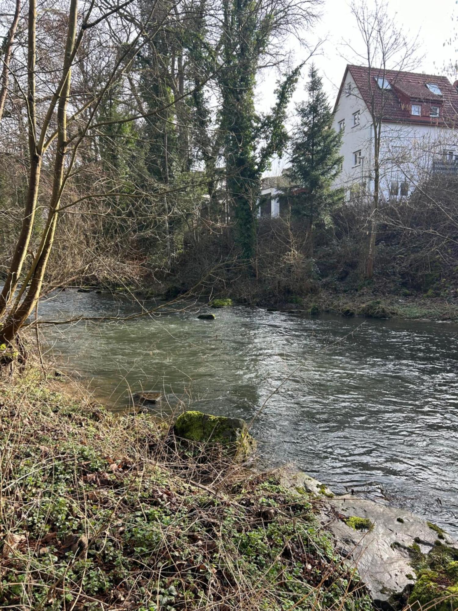 Villa Am Fluss Pforzheim Zewnętrze zdjęcie