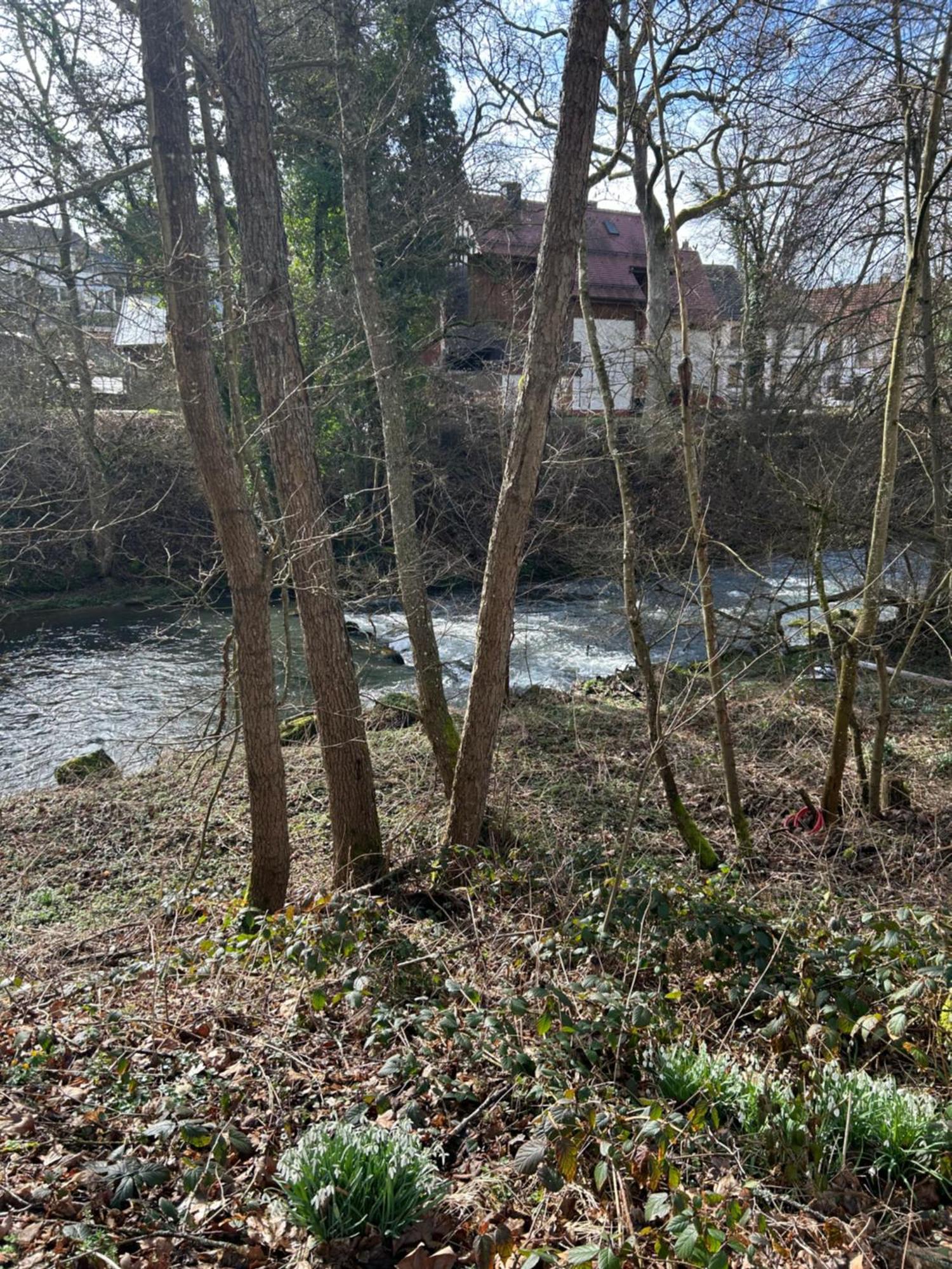 Villa Am Fluss Pforzheim Zewnętrze zdjęcie