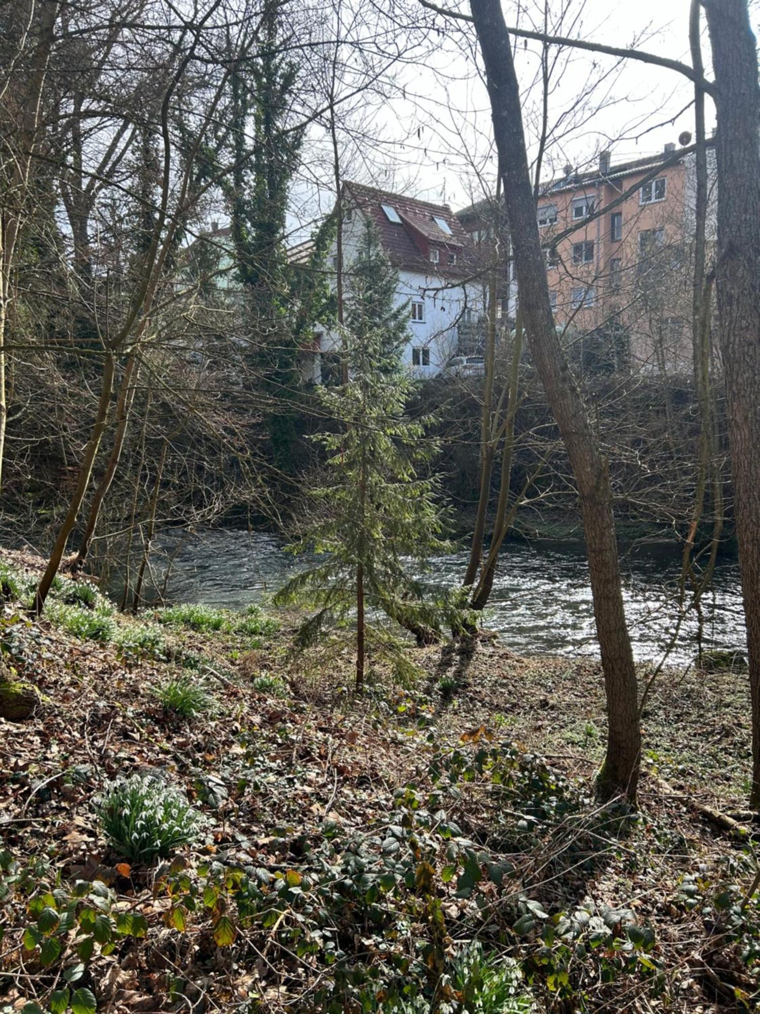 Villa Am Fluss Pforzheim Zewnętrze zdjęcie